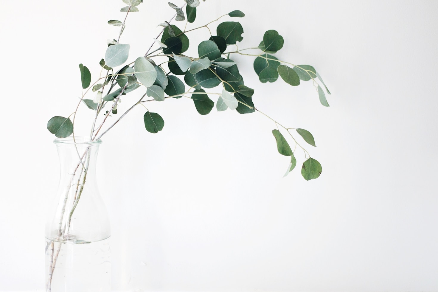 The Rise of Hemp in Modern Wellness